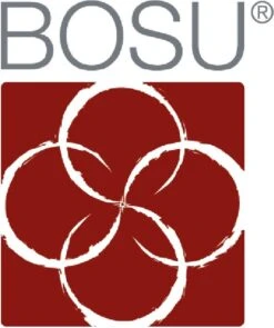 BOSU Balance Trainer Home - Buikspiertrainer - Houdingstrainer - Balanstrainer - Balans - -Fitnessapparatuur Serie Winkel 1005x1200 4