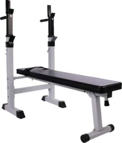 Physionics - Halterbank - Dips Bank - Bankdruk - Buiktrainer - Rugtrainer - Gewicht Heffen - Antislip - Verstelbaar -Fitnessapparatuur Serie Winkel 1023x1200 4