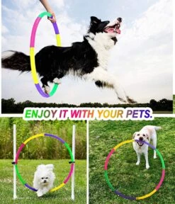 Borvat® | Hoelahoep For Kids - Afneembaar - Verstelbaar Gewicht - Meisjes En Jongens - Fitness - Dierentraining -Fitnessapparatuur Serie Winkel 1029x1200 2