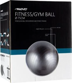 Avento Fitness/Gymbal - Ø 75 Cm - Zilver 7 Avento Fitness/Gymbal - Ø 75 Cm - Zilver -Fitnessapparatuur Serie Winkel 1030x1200 1