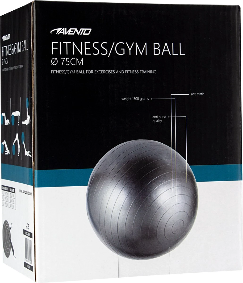 Avento Fitness/Gymbal - Ø 75 cm - Zilver Avento Fitness/Gymbal - Ø 75 Cm - Zilver -Fitnessapparatuur Serie Winkel 1030x1200 1