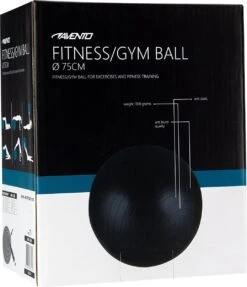 Avento Fitness/Gymbal - Ø 75 Cm - Zwart 6 Avento Fitness/Gymbal - Ø 75 Cm - Zwart -Fitnessapparatuur Serie Winkel 1034x1200