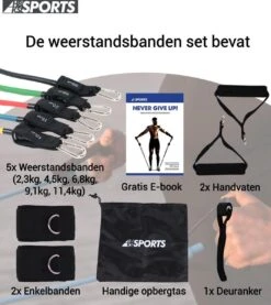 Weerstandsbanden Set - 11-delige Set - Resistance Band - Fitness Elastiek Set - Muscle Bands Elastic - Met Handvatten 13 Weerstandsbanden Set - 11-delige Set - Resistance Band - Fitness Elastiek Set - Muscle Bands Elastic - Met Handvatten -Fitnessapparatuur Serie Winkel 1069x1200 1