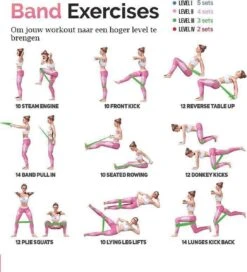 Merkloos Weerstandsbanden - Set Van 5 Fitness Elastieken - Fitnessbanden Voor Training Thuis Sportschool Gym - Perfect Voor Yoga Pilates Rekken Fietsers Renners Crossfit- Fitness Elastiek- Met Gratis Trainingsschema -Fitnessapparatuur Serie Winkel 1091x1200 2