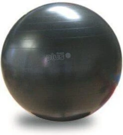 Gymnic Plus 65 BRQ - Zitbal En Fitnessbal - Zwart - Ø 65 Cm -Fitnessapparatuur Serie Winkel 1103x1200 3