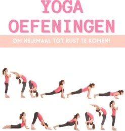 Focus Fitness – Yoga Mat Roze Met Print – Sport Mat 173 X 61 X 0.5 Cm – Fitness Mat 9 Focus Fitness – Yoga Mat Roze Met Print – Sport Mat 173 X 61 X 0.5 Cm – Fitness Mat -Fitnessapparatuur Serie Winkel 1144x1200 2