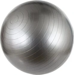 Avento Fitness/Gymbal - Ø 75 Cm - Zilver 9 Avento Fitness/Gymbal - Ø 75 Cm - Zilver -Fitnessapparatuur Serie Winkel 1182x1200 7