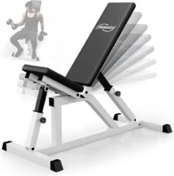 Physionics - Verstelbare Halterbank - Buiktrainer - Fitnessbank - Antislip - Staal - Trainingsapparaat