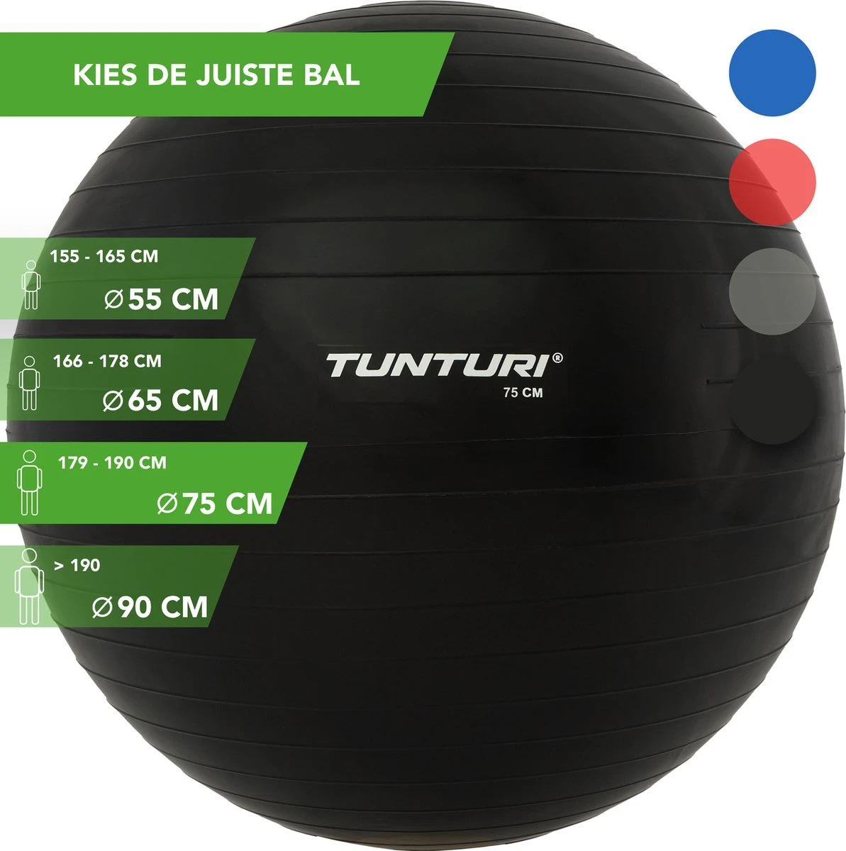 Tunturi Fitness bal - Yoga bal inclusief pomp - Pilates bal - Zwangerschaps bal - 75 cm - Kleur: zwart - Incl. gratis fitness app Tunturi Fitness Bal - Yoga Bal Inclusief Pomp - Pilates Bal - Zwangerschaps Bal - 75 Cm - Kleur: Zwart - Incl. Gratis Fitness App -Fitnessapparatuur Serie Winkel 1193x1200 9