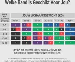 Resistance Band Pull Up - Pull Up Band - Powerpand Fitness Elastiek - Extra Zwaar -Fitnessapparatuur Serie Winkel 1200x1002 2