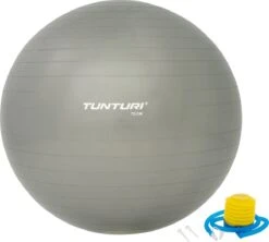 Tunturi Fitness Bal - Yoga Bal Inclusief Pomp - Pilates Bal - Zwangerschaps Bal - 75 Cm - Kleur: Zilver - Incl. Gratis Fitness App