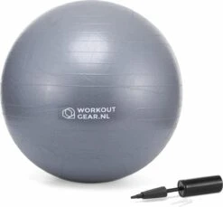 Workout Gear - Fitness Bal - Gym Ball - Yoga Bal - Pilates Bal - 65cm
