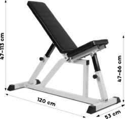 Physionics - Verstelbare Halterbank - Buiktrainer - Fitnessbank - Antislip - Staal - Trainingsapparaat 5 Physionics - Verstelbare Halterbank - Buiktrainer - Fitnessbank - Antislip - Staal - Trainingsapparaat -Fitnessapparatuur Serie Winkel 1200x1141 8