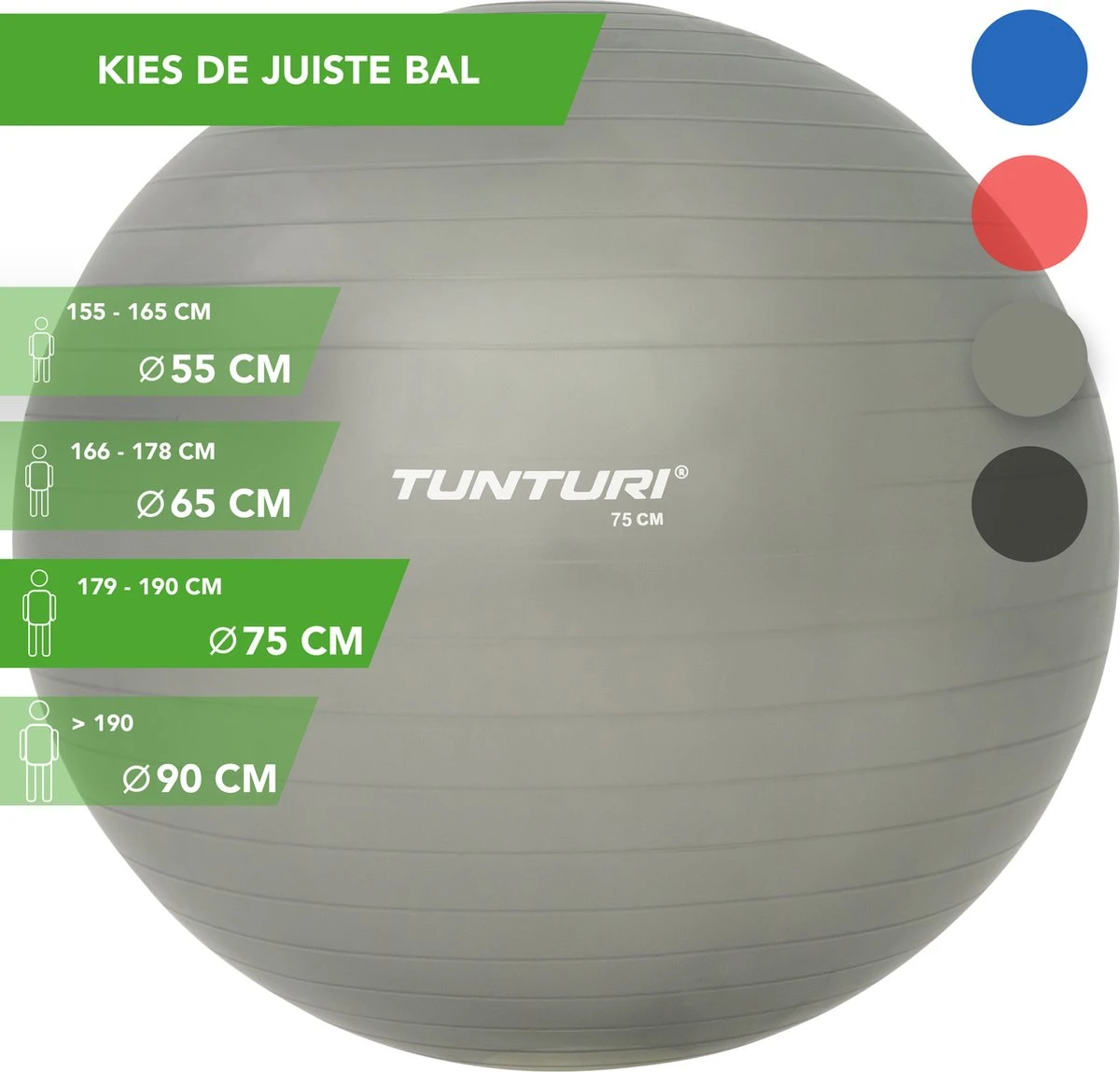 Tunturi Fitness bal - Yoga bal inclusief pomp - Pilates bal - Zwangerschaps bal - 75 cm - Kleur: zilver - Incl. gratis fitness app Tunturi Fitness Bal - Yoga Bal Inclusief Pomp - Pilates Bal - Zwangerschaps Bal - 75 Cm - Kleur: Zilver - Incl. Gratis Fitness App -Fitnessapparatuur Serie Winkel 1200x1149 2