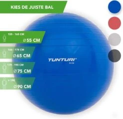 Tunturi Fitness Bal - Yoga Bal Inclusief Pomp - Pilates Bal - Zwangerschaps Bal - 55 Cm - Kleur: Blauw - Incl. Gratis Fitness App -Fitnessapparatuur Serie Winkel 1200x1154 3