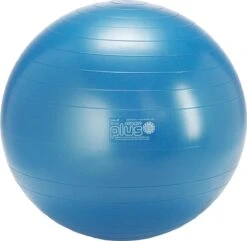 Gymnic Plus 65 BRQ - Zitbal En Fitnessbal - Blauw - Ø 65 Cm