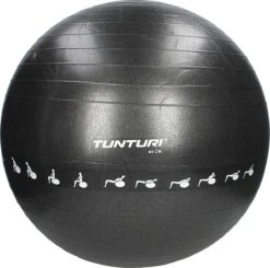 Tunturi Fitnessbal - Gymball - Swiss Ball - 65 Cm - Anti Burst - Incl. Pomp - Zwart - Incl. Gratis Fitness App 12 Tunturi Fitnessbal - Gymball - Swiss Ball - 65 Cm - Anti Burst - Incl. Pomp - Zwart - Incl. Gratis Fitness App -Fitnessapparatuur Serie Winkel 1200x1188 4