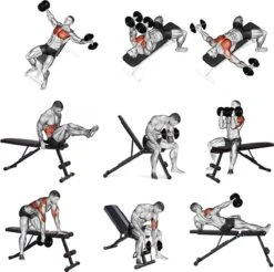 EchoGoods Halterbank - Inclusief Gratis Weerstandbanden En E-book - Fitnessbank - Bench Press - Trainingsbank - Halterbank Verstelbaar - Halterbank Opklapbaar - Rugsteun - Halterbank Gemonteerd + GRATIS E-book -Fitnessapparatuur Serie Winkel 1200x1197 29