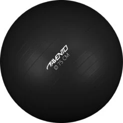 Avento Fitness/Gymbal - Ø 75 Cm - Zwart