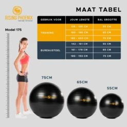 RP® Fitness Bal Yoga Zitbal Fitnessbal Gymbal Pilates Yogabal Balansbal - Tas, Steunring & Resistance Bands - Handpomp & Ebook -Fitnessapparatuur Serie Winkel 1200x1198 25