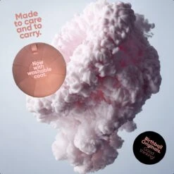 Birth Ball Originals – Zwangerschapsbal – Ergonomische Yoga Bal – Incl. Roze Wasbare Hoes – Incl. Pomp – 65 CM Hoog -Fitnessapparatuur Serie Winkel 1200x1200 1248