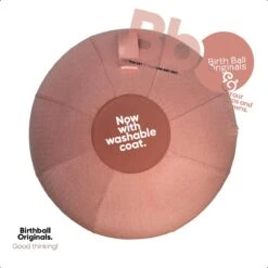 Birth Ball Originals – Zwangerschapsbal – Ergonomische Yoga Bal – Incl. Roze Wasbare Hoes – Incl. Pomp – 65 CM Hoog -Fitnessapparatuur Serie Winkel 1200x1200 1251