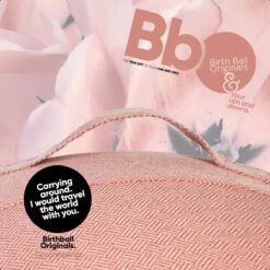 Birth Ball Originals – Zwangerschapsbal – Ergonomische Yoga Bal – Incl. Roze Wasbare Hoes – Incl. Pomp – 65 CM Hoog -Fitnessapparatuur Serie Winkel 1200x1200 1252