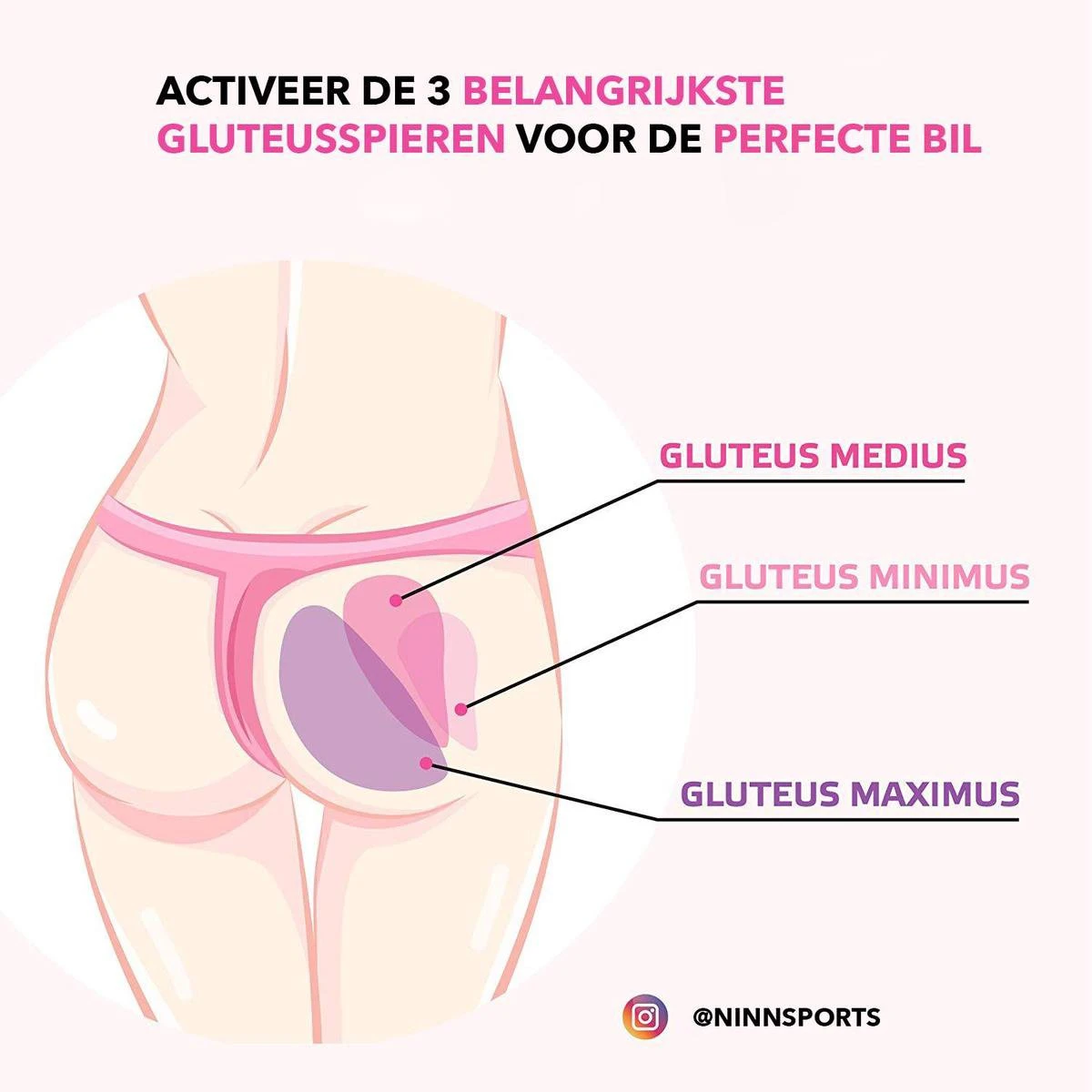 NINN Sports Weerstandsbanden set van 3 Pastel - Bootybands - Weerstandsband - Resistance bands- Fitnessband NINN Sports Weerstandsbanden Set Van 3 Pastel - Bootybands - Weerstandsband - Resistance Bands- Fitnessband -Fitnessapparatuur Serie Winkel 1200x1200 1275