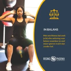 RP® Fitness Bal Yoga Zitbal Fitnessbal Gymbal Pilates Yogabal Balansbal - Tas, Steunring & Resistance Bands - Handpomp & Ebook -Fitnessapparatuur Serie Winkel 1200x1200 1338