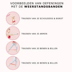 Senz Sports - Weerstandsbanden - Set Van 5 Resistance Banden - Fitness Elastiek - Incl. Opbergzak - Roze -Fitnessapparatuur Serie Winkel 1200x1200 1397