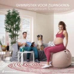 Sportstech Fitnessbal - Zitbal - Ergnomisch Voor Yoga, Pilates, Zwangerschap & Homegym - YOBA100 5 Sportstech Fitnessbal - Zitbal - Ergnomisch Voor Yoga, Pilates, Zwangerschap & Homegym - YOBA100 -Fitnessapparatuur Serie Winkel 1200x1200 1533