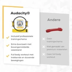 Premium Resistance Band Met Pilates Ring Voor Een Effectieve Workout - Yoga Ring (38cm) Met Elastische Weerstandsband (35kg) Booty Band - Magic Circle Fitness Ring Met Fitness Weerstandsbanden Set -Fitnessapparatuur Serie Winkel 1200x1200 1540