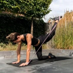 FITELASTIX® Premium Weerstandsband Lang - Voor Elk Niveau - Alles In 1 - Full Body - Resistance Band - Fitness Elastiek - Sport Elastiek Fitness - Met Handvatten - Inclusief Instructievideo's - Roze -Fitnessapparatuur Serie Winkel 1200x1200 1720