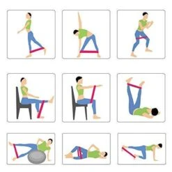 Gymston - 5 Sport Elastiek Banden Set/ Fitness Elastiek - Inclusief Draagtas En E-Book(pdf) + Handleiding Met Weerstandsbanden Oefeningen! -Fitnessapparatuur Serie Winkel 1200x1200 1770