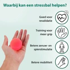 WeRelieff Stressbal Voor Hand - Set Van 3 Ronde Stressballen Voor Kinderen & Volwassenen - Hand Trainer In Rood Geel Blauw -Fitnessapparatuur Serie Winkel 1200x1200 2022