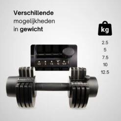 KIMO DIRECT Verstelbare Dumbbell 12,5KG - Dumbells - Gewichten - 2,5/5/7,5/10/12,5KG - Smart Dumbell - Zwart -Fitnessapparatuur Serie Winkel 1200x1200 2293
