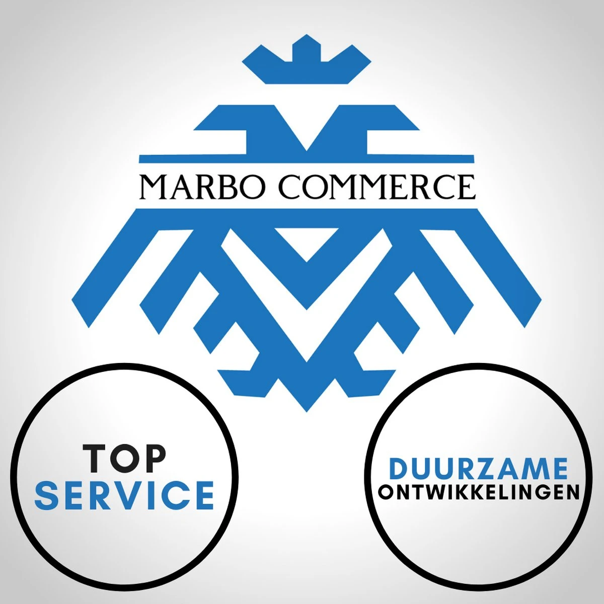 Marbo Stepper - Stepper Fitness - Home Trainer - Verstevigd - 2 weerstandsbanden - Met Monitor - verstelbare weerstand - step fitness - mini stepper - Verticale stepper - professioneel - - Stair Stepper - Step-apparaat - Mini Fitnessapparaat - Step Marbo Stepper - Stepper Fitness - Home Trainer - Verstevigd - 2 Weerstandsbanden - Met Monitor - Verstelbare Weerstand - Step Fitness - Mini Stepper - Verticale Stepper - Professioneel - - Stair Stepper - Step-apparaat - Mini Fitnessapparaat - Step -Fitnessapparatuur Serie Winkel 1200x1200 79