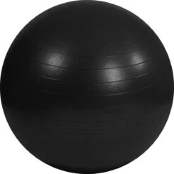 Gym Bal Inclusief Pomp - Yoga - Pilates Bal - Fitness Bal - Zwangerschapsbal - Goede Houding Bij Het Thuiswerken - 65 Cm - Kleur: Zwart 3 Gym Bal Inclusief Pomp - Yoga - Pilates Bal - Fitness Bal - Zwangerschapsbal - Goede Houding Bij Het Thuiswerken - 65 Cm - Kleur: Zwart -Fitnessapparatuur Serie Winkel 1200x1200 901