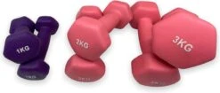 Dumbells - Neopreen Set 1, 2 En 3 Kg - Dumbellset - Halterset - Fitness Gewichten - Paars En Roze
