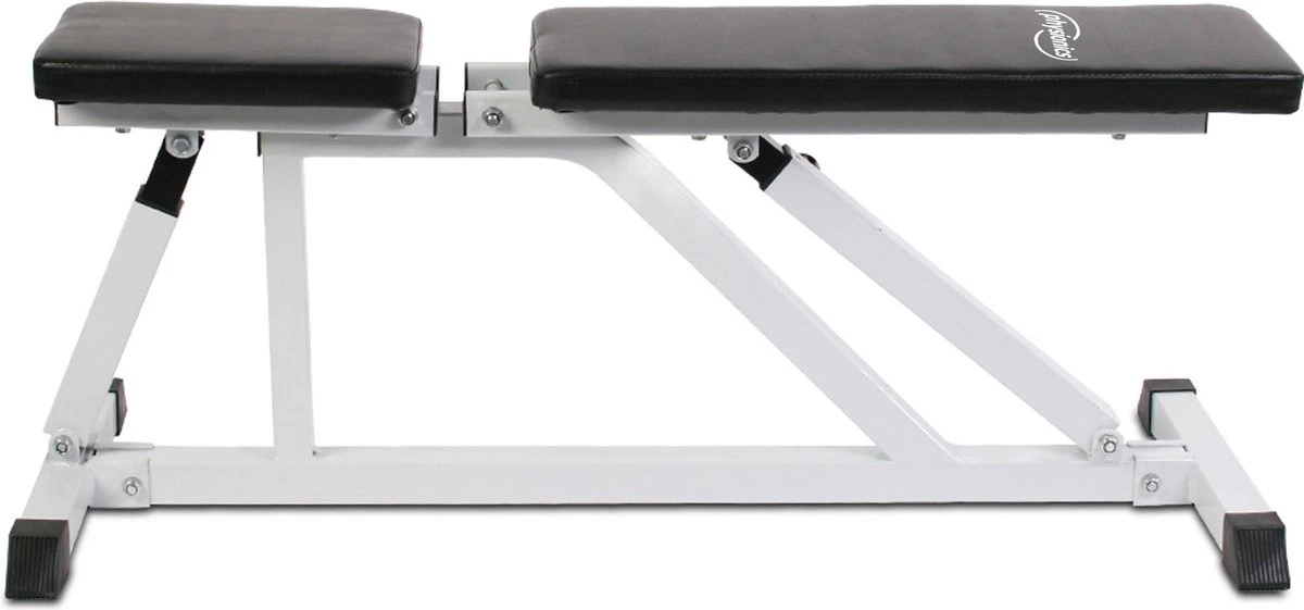 Physionics - Verstelbare Halterbank - Buiktrainer - Fitnessbank - Antislip - Staal - Trainingsapparaat Physionics - Verstelbare Halterbank - Buiktrainer - Fitnessbank - Antislip - Staal - Trainingsapparaat -Fitnessapparatuur Serie Winkel 1200x561 1