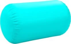 VidaXL Gymnastiekrol Met Pomp Opblaasbaar 100x60 Cm PVC Groen -Fitnessapparatuur Serie Winkel 1200x747