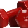 Active Panther Dumbbell Set 2 X 6 KG - 12 Kg Totaal - Vinyl - Rood -Fitnessapparatuur Serie Winkel 1200x758 3
