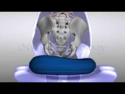 Togu Dynair Senso Balkussen/Wiebelkussen Ø 36 Cm - Volwassenen - Zwart -Fitnessapparatuur Serie Winkel 1200x900 13