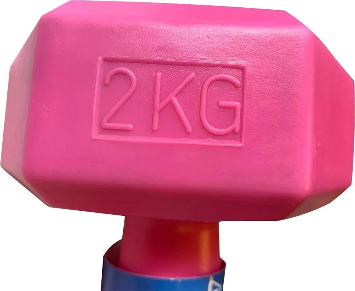 Dumbbells - Set van 2x 2kg - Roze Merkloos Dumbbells - Set Van 2x 2kg - Roze -Fitnessapparatuur Serie Winkel 1200x985 5