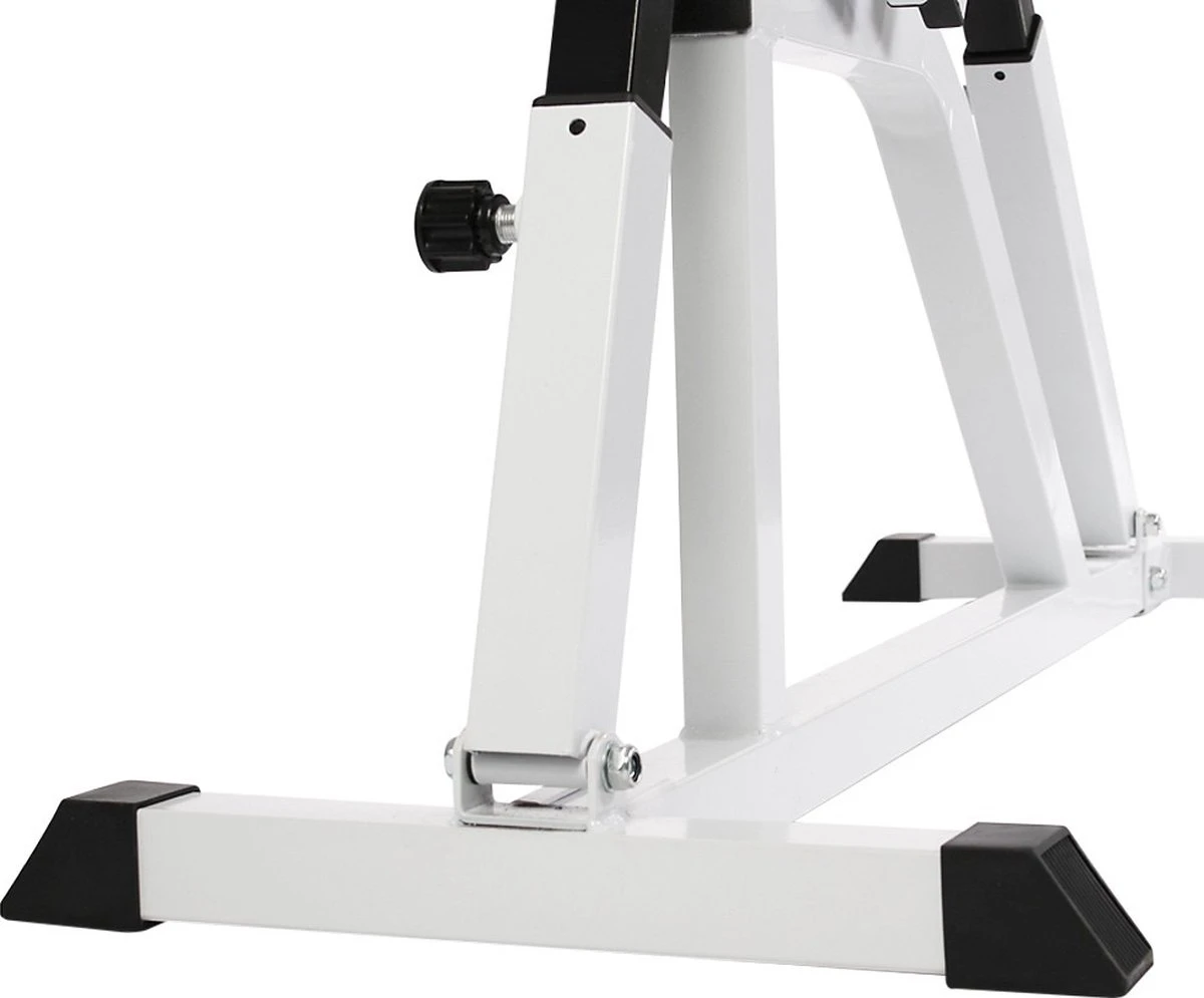 Physionics - Verstelbare Halterbank - Buiktrainer - Fitnessbank - Antislip - Staal - Trainingsapparaat Physionics - Verstelbare Halterbank - Buiktrainer - Fitnessbank - Antislip - Staal - Trainingsapparaat -Fitnessapparatuur Serie Winkel 1200x995 3