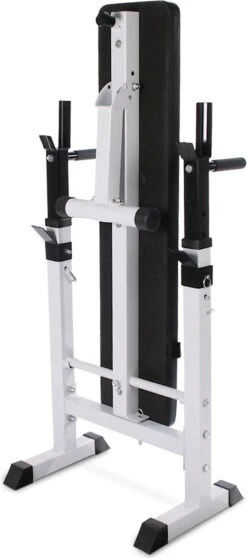 Physionics - Halterbank - Dips Bank - Bankdruk - Buiktrainer - Rugtrainer - Gewicht Heffen - Antislip - Verstelbaar -Fitnessapparatuur Serie Winkel 531x1200 1