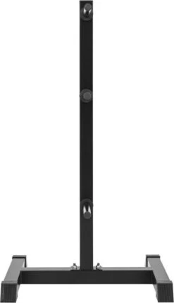 Gorilla Sports Schijvenstandaard Zwart 30/31 Mm - Gewichten Rek - Halterrek -Fitnessapparatuur Serie Winkel 690x1200