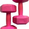 Merkloos Dumbbells - Set Van 2x 2kg - Roze -Fitnessapparatuur Serie Winkel 769x1200 1