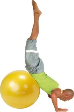 Gymnic Plus 65 BRQ - Zitbal En Fitnessbal - Zwart - Ø 65 Cm -Fitnessapparatuur Serie Winkel 796x1200 1