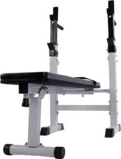 Physionics - Halterbank - Dips Bank - Bankdruk - Buiktrainer - Rugtrainer - Gewicht Heffen - Antislip - Verstelbaar -Fitnessapparatuur Serie Winkel 911x1200 3